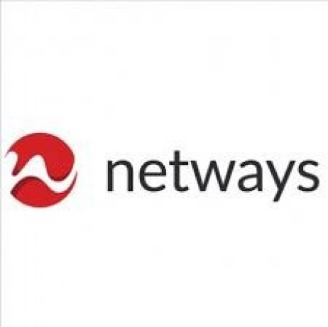 Logo Netways